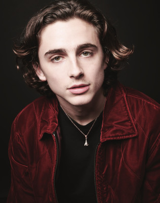 Timothée Chalamet by Michael Buckner for Deadline (Los Angeles 11/04/2017)