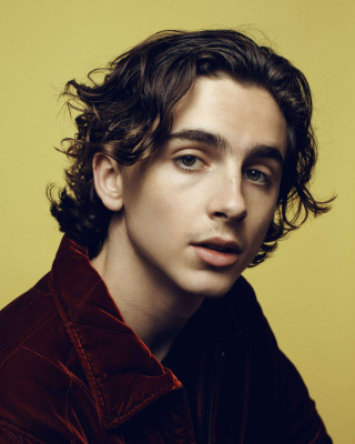 Timothee Chalamet pic #1306192