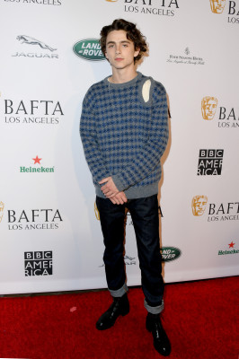 Timothee Chalamet pic #1321133