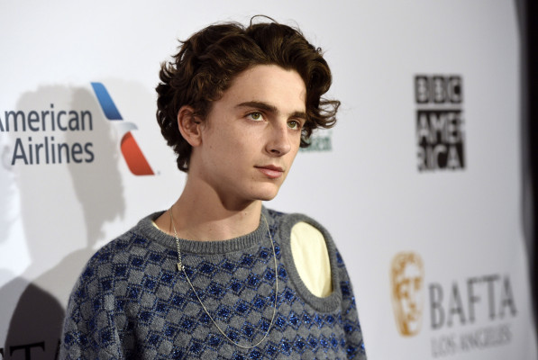 Timothee Chalamet pic #1362027