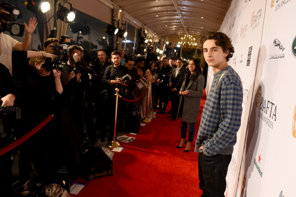 Timothee Chalamet pic #1321132