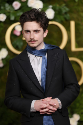 Timothee Chalamet pic #1366799