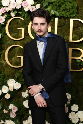 Timothee Chalamet pic #1366798
