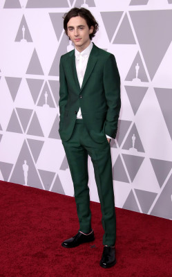 Timothee Chalamet pic #1325133