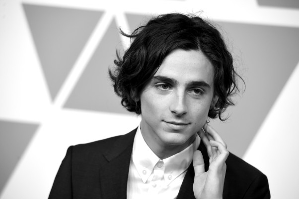 Timothee Chalamet pic #1325134