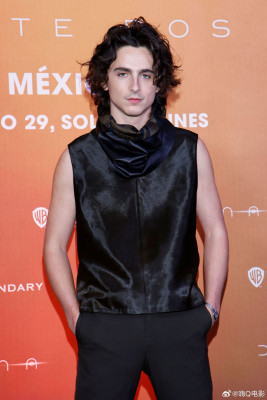 Timothee Chalamet pic #1345459