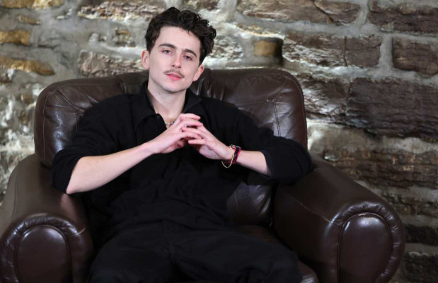 Timothee Chalamet pic #1365525