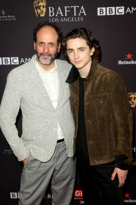 Timothee Chalamet pic #1302617