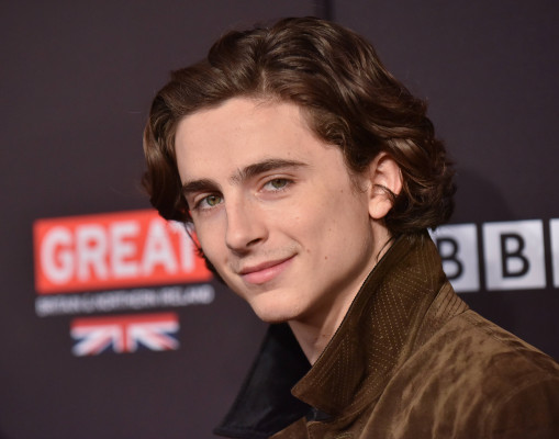 Timothee Chalamet pic #1302613
