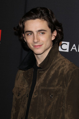 Timothee Chalamet pic #1302615