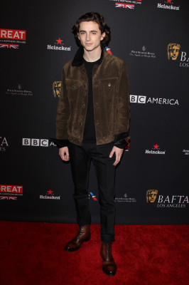 Timothee Chalamet pic #1302614
