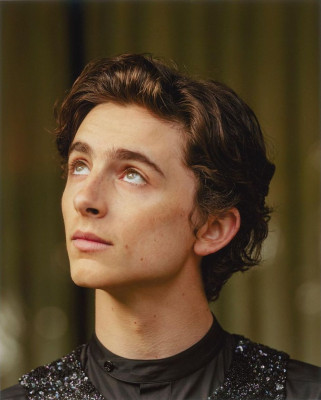 Timothee Chalamet pic #1362248