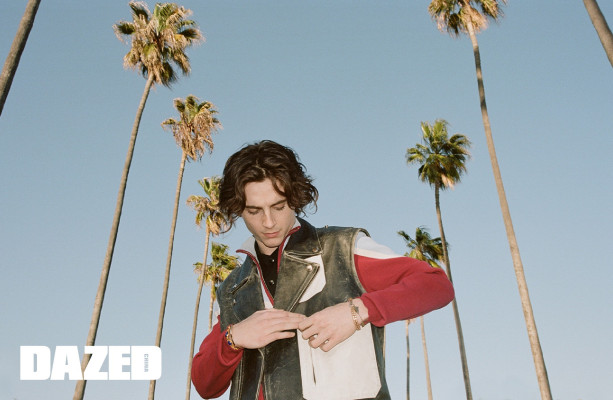 Timothee Chalamet pic #1360525