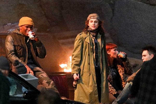 Timothee Chalamet pic #1299942