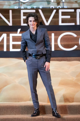 Timothee Chalamet pic #1345501