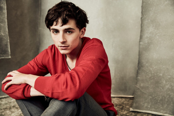 Timothee Chalamet pic #1331753