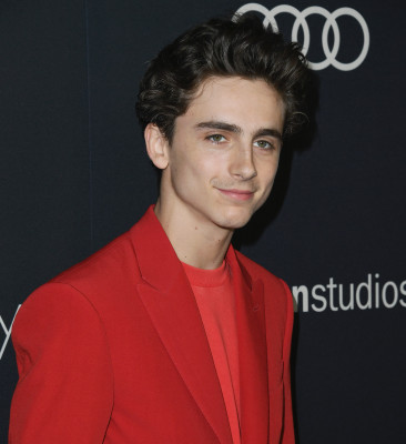 Timothee Chalamet pic #1290533