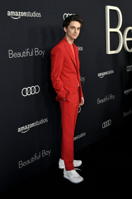 Timothee Chalamet pic #1290520