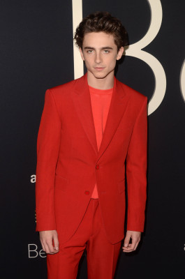 Timothee Chalamet pic #1290522