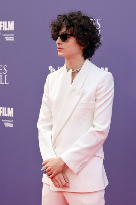Timothee Chalamet pic #1320754