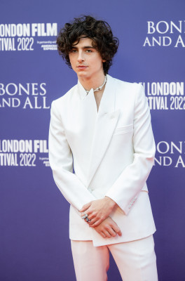 Timothee Chalamet pic #1322728