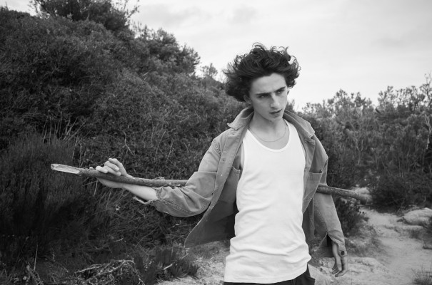 photo 4 in Timothee Chalamet gallery [id1374256] 2025-07-23 00:00:00