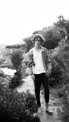 Timothee Chalamet pic #1374259