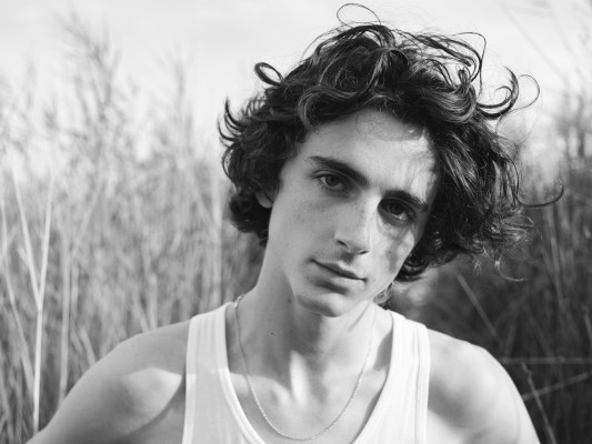 photo 3 in Timothee Chalamet gallery [id1374257] 2025-07-23 00:00:00