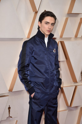 Timothee Chalamet pic #1300199