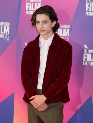 Timothee Chalamet pic #1289716