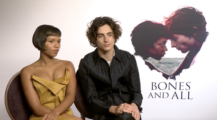Timothee Chalamet pic #1325307