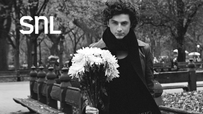 Timothee Chalamet pic #1338551
