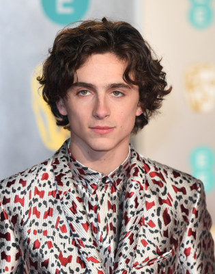 Timothee Chalamet pic #1302261