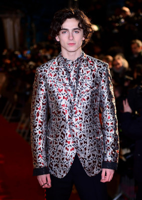 Timothee Chalamet pic #1302258