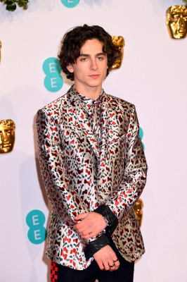 Timothee Chalamet pic #1302262