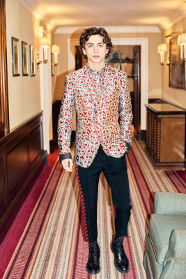 Timothee Chalamet pic #1326576