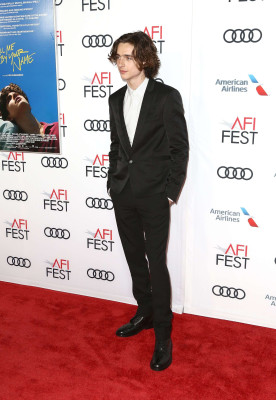 Timothee Chalamet pic #1302824