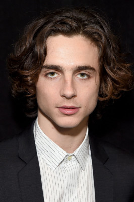 Timothee Chalamet pic #1302826