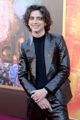 Timothee Chalamet pic #1340854
