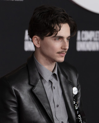 Timothee Chalamet pic #1366093