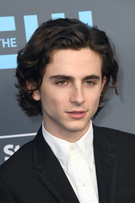 Timothee Chalamet pic #1328473