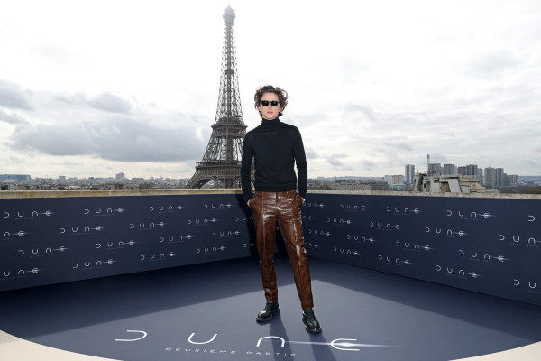 Timothee Chalamet pic #1347762