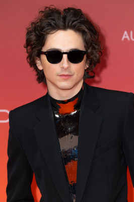 Timothee Chalamet pic #1348424