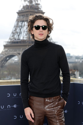 Timothee Chalamet pic #1348813