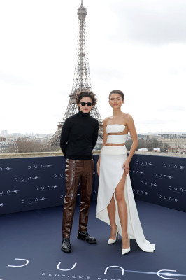 Timothee Chalamet pic #1348814