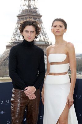 Timothee Chalamet pic #1346402