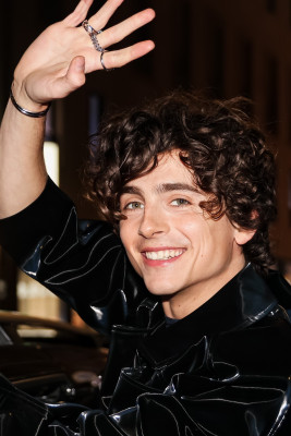 Timothee Chalamet pic #1324462