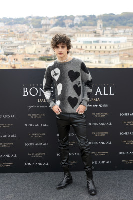 Timothee Chalamet pic #1316451
