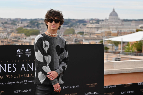 Timothee Chalamet pic #1316453