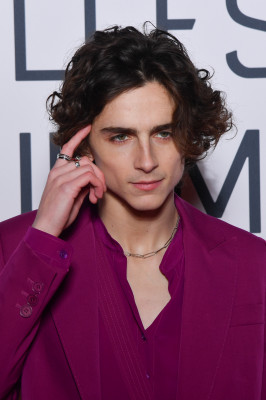 Timothee Chalamet pic #1295397